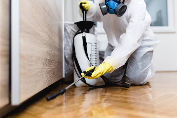 Best Ant Control Services  in , MI