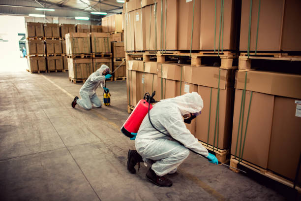Best Mosquito Control Services  in , MI