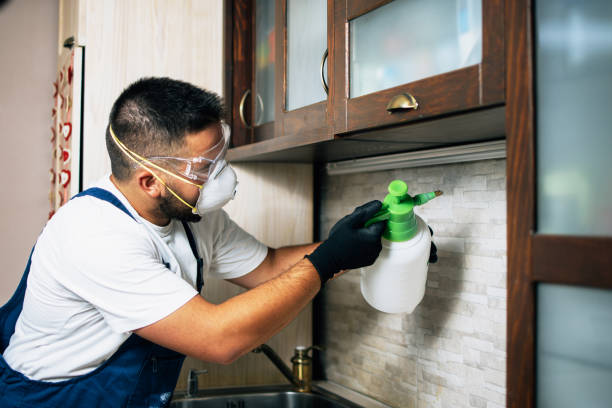 Best Pest Removal Services  in , MI