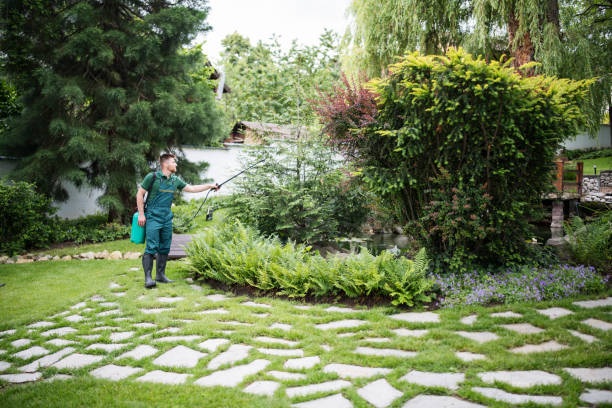 Best Ant Control Services  in , MI