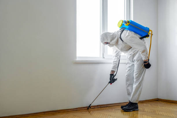 Best Mosquito Control Services  in , MI