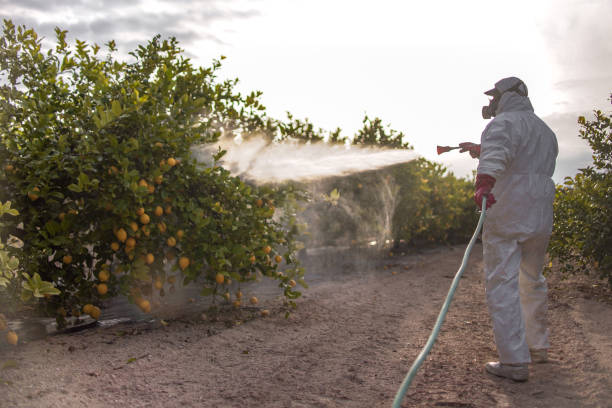  , MI Pest Control Pros