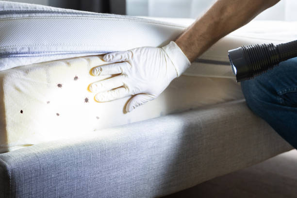 Best Exterminator Services  in , MI