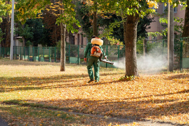 Best Wasp Removal Services  in , MI