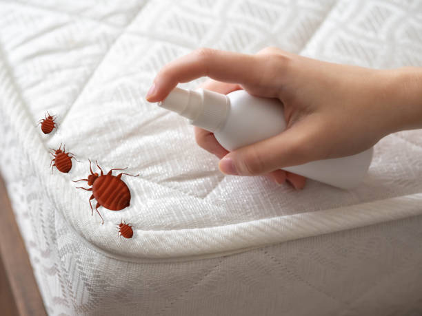 Best Pest Inspection Near Me  in , MI