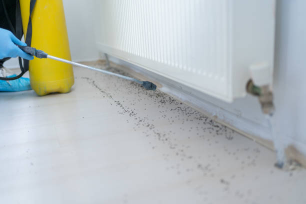 Best Best Pest Control Companies  in , MI