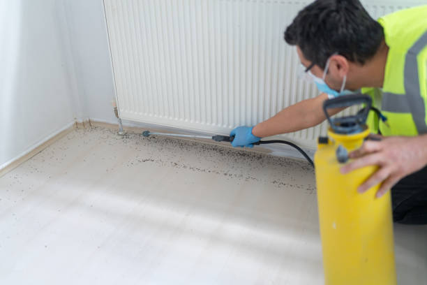 Best Wasp Removal Services  in , MI