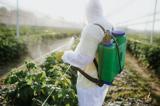 Best Emergency Pest Control  in , MI